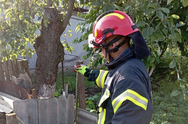 Знайшли в компостній ямі: у Володимирі у двір заповз вуж