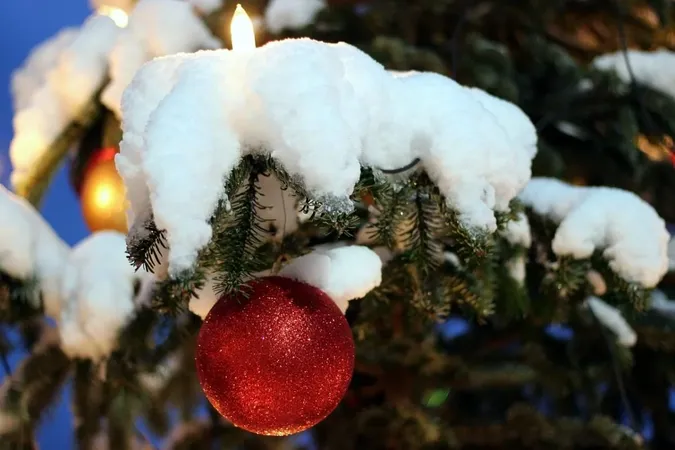 ☃️Коли востаннє на Волині було Різдво зі снігом