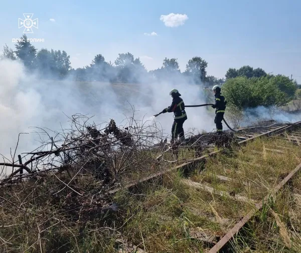 На Волині від удару блискавки загорілася хата (фото)