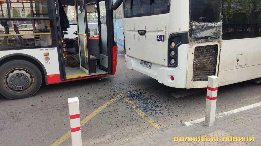 Біля «Там Таму» у Луцьку «рогатий»  протаранив автобус (фото)