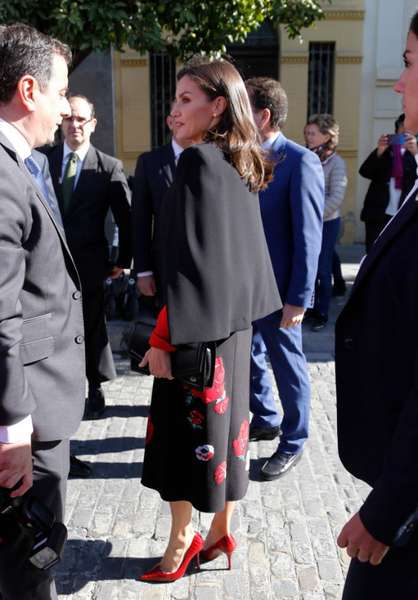 Королева Іспанії одягнула спідницю у квіткову вишивку(фото)
