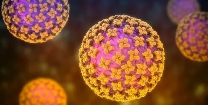 Новий вірус «Лан'я» із Китаю: які симптоми та як передається