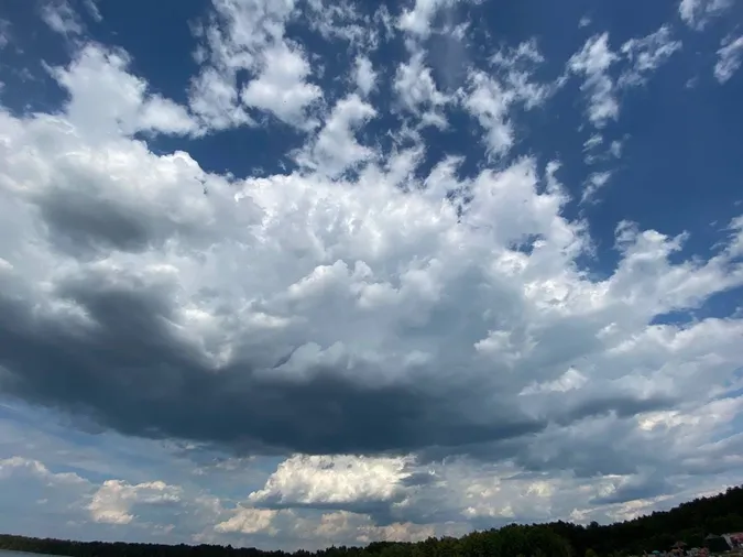 Під безкраїм блакитним небом: показали чарівні світлини з озера Світязь (фото)