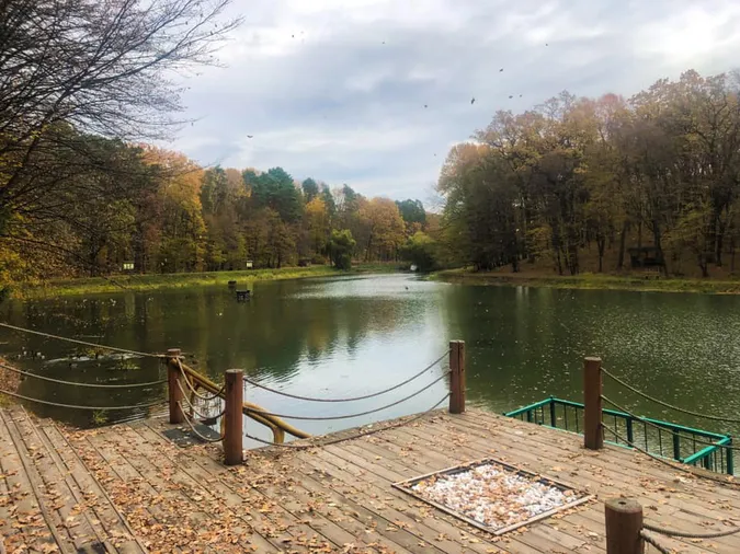 Показали чарівну осінь у Воротнівському лісництві (фото)
