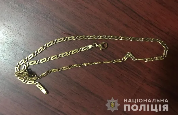 У Луцьку затримали серійного «домушника» (фото, відео)