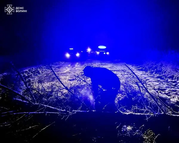 На Волині повалене дерево перекрило дорогу (фото)
