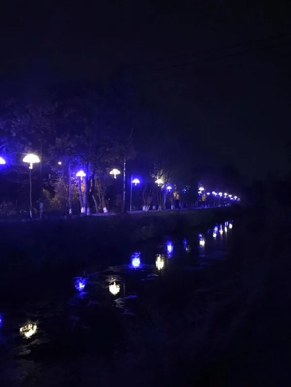 Як змінився центральний парк Луцька (фото)