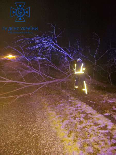 На Ковельщині дерево впало на дорогу й перекрило рух транспорту (фото)