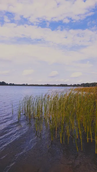 Осінні барви озера на Волині: атмосферні фото