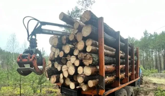 У Граддівському лісництві – перевірка: що сталося