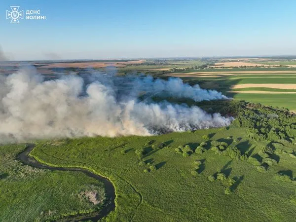 Біля Луцька горіли два гектари трави (фото, оновлено)