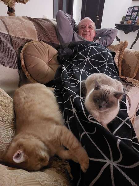 Колишній волинський губернатор живе з двома котами (фото)