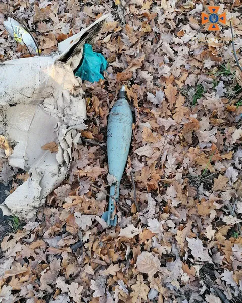 Волинські сапери показали свою «здобич» на Донеччині (фото)