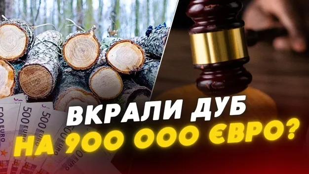 На Волині фірма відмовляється платити за деревину дуба майже мільйон євро  (відео)