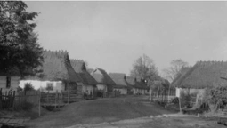 Білі хати і тин на подвір'ї: якими 100 років тому були вулиці у Камені-Каширському (фото)