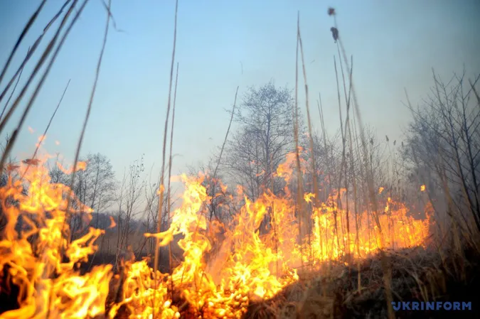 В Україні горіла Чорнобильська зона