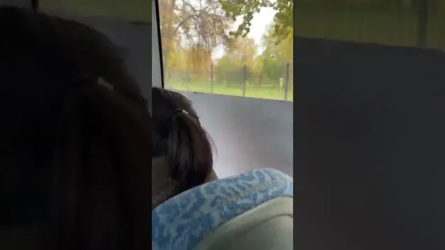 ДТП у Луцьку: авто збило велосипедиста на «зебрі» і відлетіло на тротуар (відео)