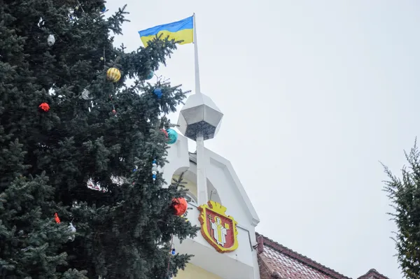 Чим непростий бюджет Луцька на 2017 рік