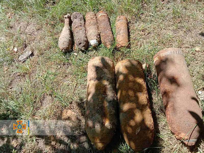 У лісах і в полях: за добу на Волині знайшли 17 снарядів й мін (фото)