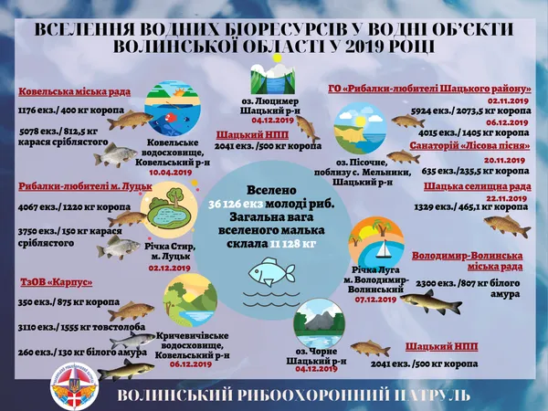 У волинські водойми запустили 11 тонн риби
