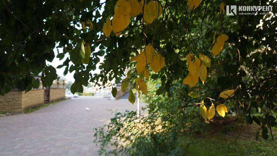 Осінь у Луцьку: ранок на 33-му (фото)