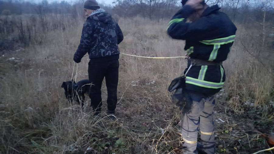 В Нововолинську рятувальники визволяли собаку з колодязя