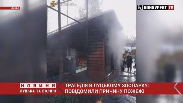 Рятувальники з'ясували ймовірну причину пожежі у Луцькому зоопарку (відео)
