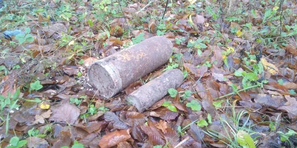 Артснаряди та мінометна міна: на Волині під час сільгоспробіт знайшли боєприпаси (фото)