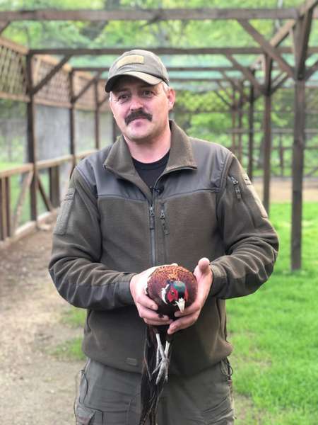 Волинські лісівники випустили на волю майже 200 фазанів (фото, відео)