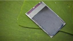 Вчені створили штучний листок, який перетворює сонячне світло на паливо (відео)