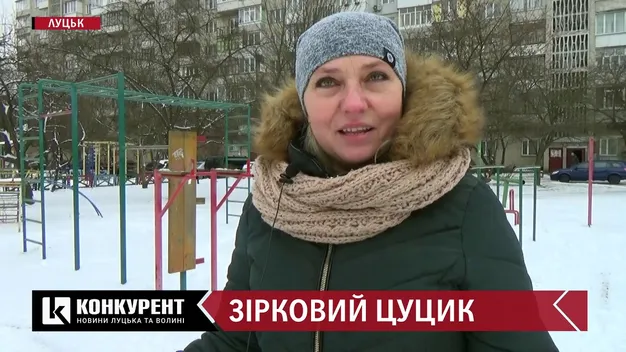Лучанка викинула на вулицю цуценя, яке взяла від волонтерів (фото)