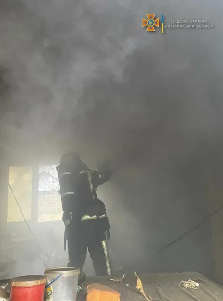 У селі на Волині спалахнув будинок (фото, відео)
