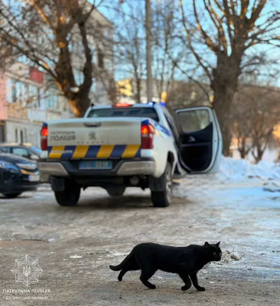Смаколики замість штрафів: вулицями Луцька пройшов зворушливий рейд