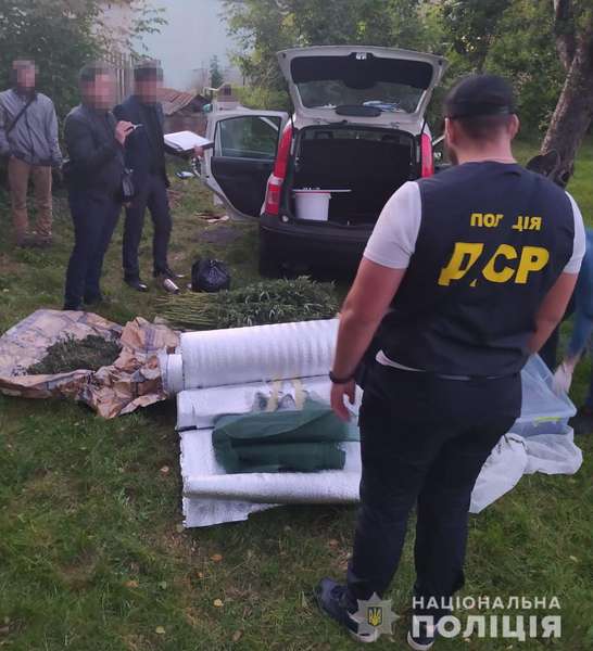 50 кіло канабісу: у Луцькому районі вилучили наркотиків на пів мільйона гривень (фото, відео)
