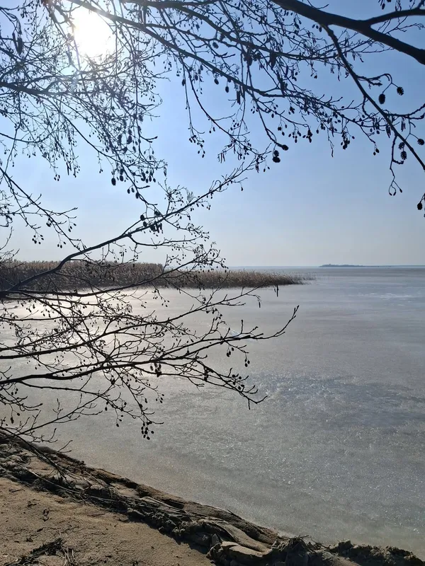 Крига, сонце і весна: Світязь огорнули перші теплі промені (фото)