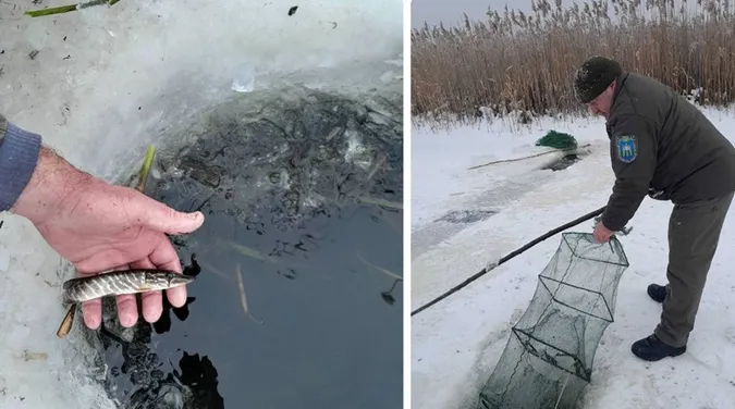 На водоймах Волині фіксують численні порушення рибальства