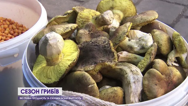 На будь-який смак: скільки коштують гриби на луцьких ринках (відео)