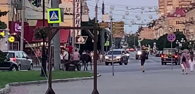 У центрі Луцька хлопці катаються на возі (відео)
