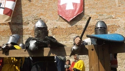 У Луцьку змагалися лицарі (фото, відео) 