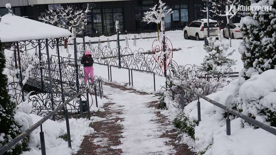 Зимові вайби: луцький парк встелило периною пухнастого снігу (фото)