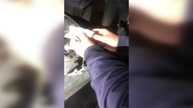 В «Ягодині» під капотом «Porsche Cayenne» знайшли партію годинників «CASIO» (фото, відео)