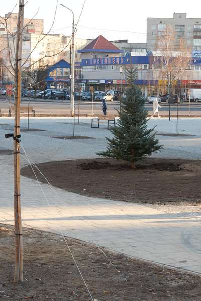 Ліхтарі, ялинки, лавки: у Луцьку завершують облаштування площі перед РАЦСом (фото, відео)