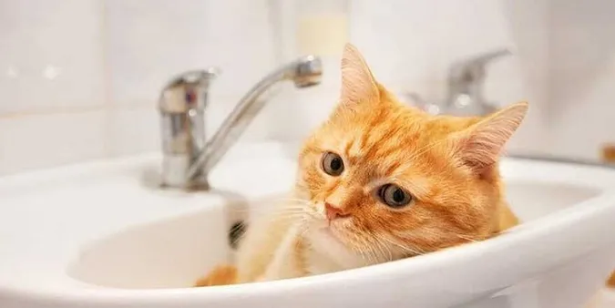 У Луцьку – проблеми з водопостачанням, містян просять економити
