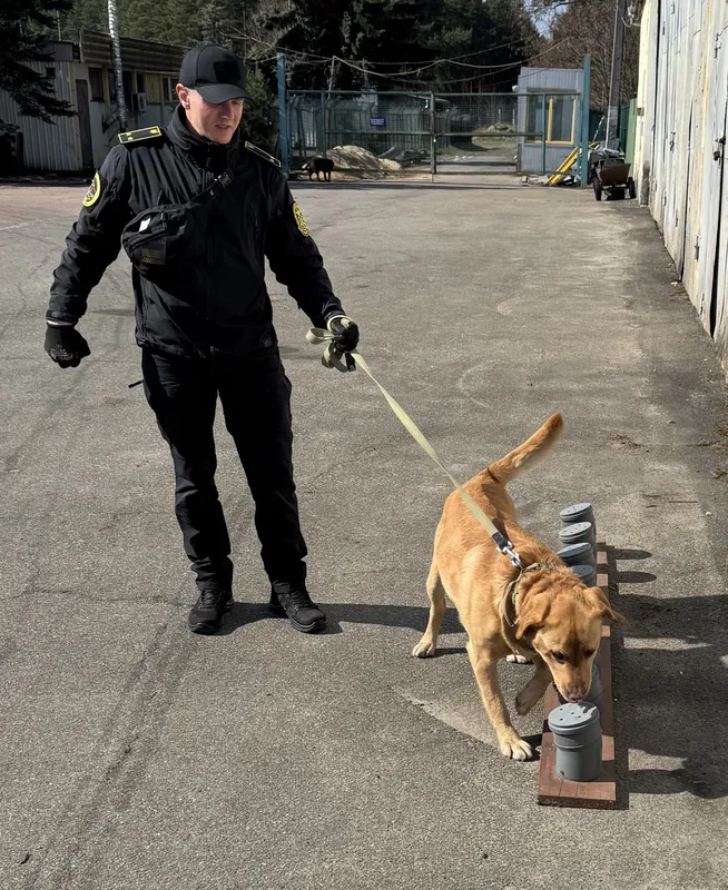 На Волині обрали пса, який шукає наркотики краще всіх