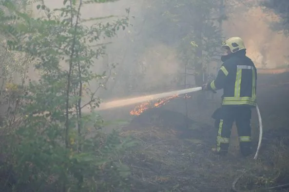 Ліс, чагарники, сміття: у Луцькому районі пожежі охопили 20 га території (фото)