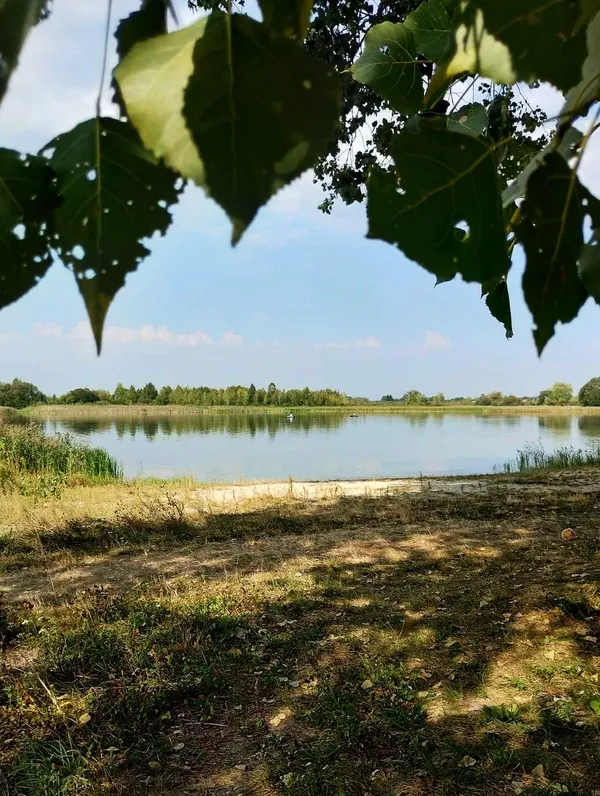 Зручні пірси і мало людей: на Волині в озері у формі вуха водиться багато риби (фото)