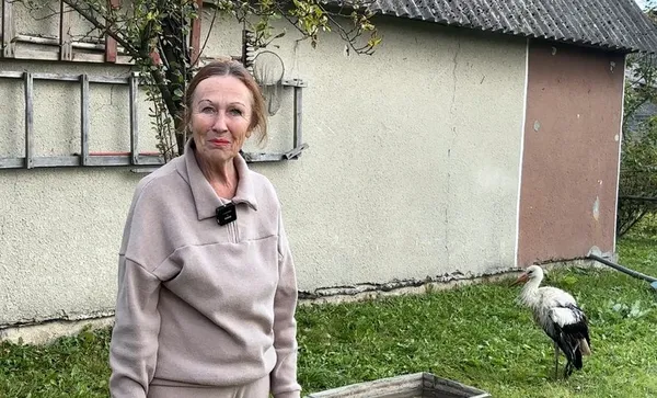 На Волині пенсіонерка прихистила травмованого лелеку (відео)