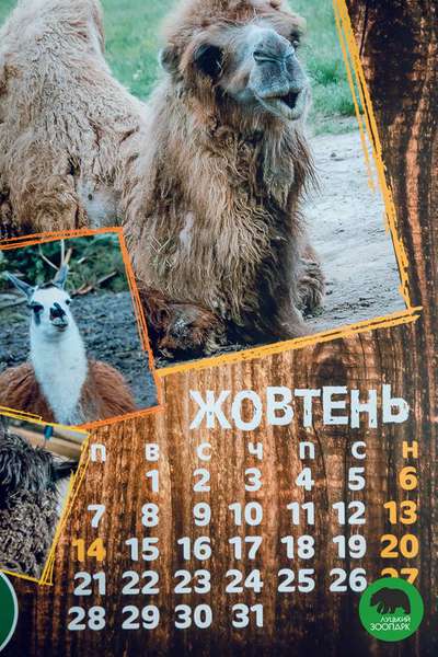 «Луцький зоопарк» видав «мімішний» календар на 2019 рік (фото)