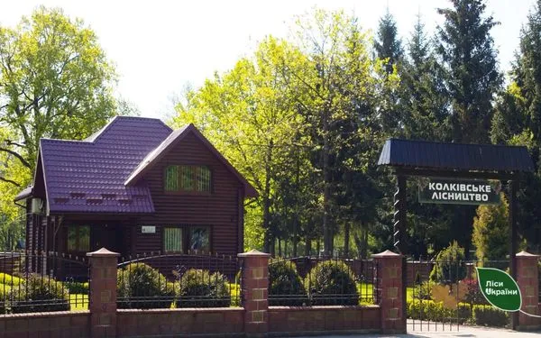 Лісництво на Волині стало кращим в Україні (фото)