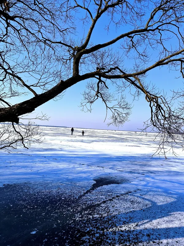 Трава на берегах і крига на воді: на Світязі зима зустрічає весну (фото)